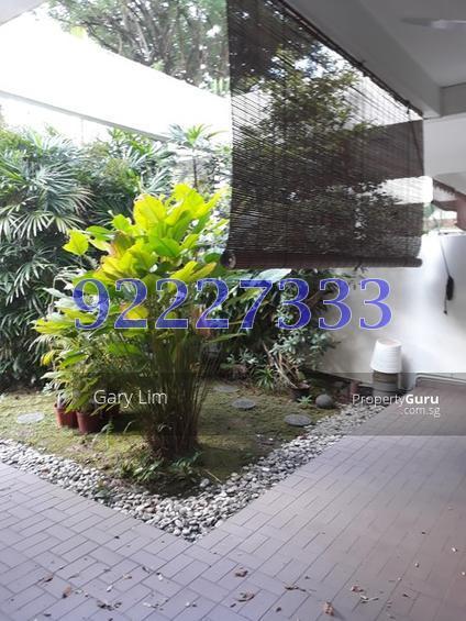 Jalan Tupai (D10), Terrace #145263372